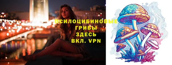 таблы Белокуриха